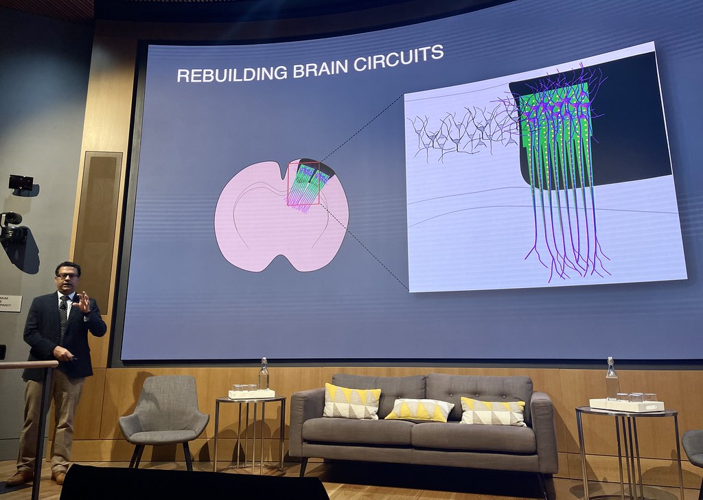 Recovery of brain circuits after stroke or TBI